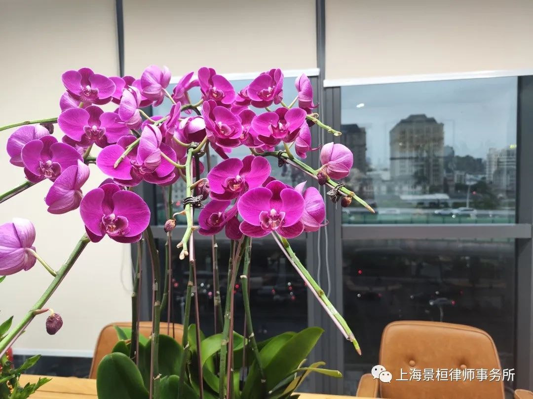 微信图片_20240223161941.jpg